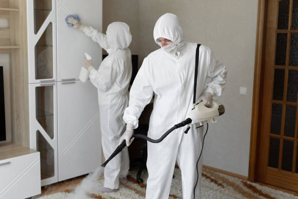 Trusted Coeburn, VA Mold Removal Experts